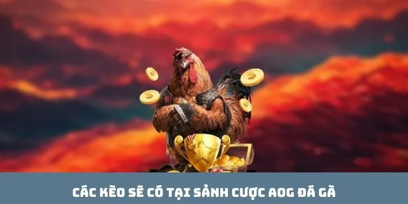 Các kèo sẽ có tại sảnh cược AOG đá gà