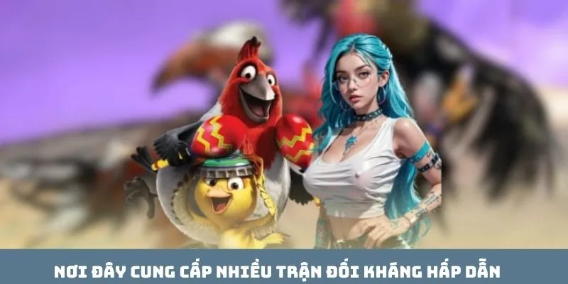 Nơi đây cung cấp nhiều trận đối kháng hấp dẫn